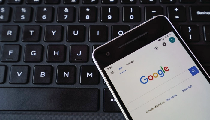 Google Panda Update: Its Evolution, Purpose and Impact