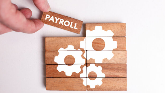 BiznusSoft rolls out Payroll Solution on Industry leading Salesforce platform