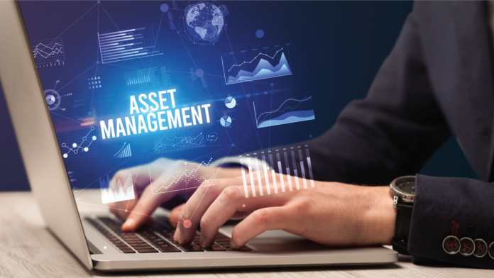 Strategies for Effective Digital Asset Management