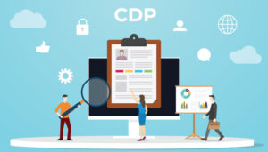 Must-Have Factors to Look for in a CDP